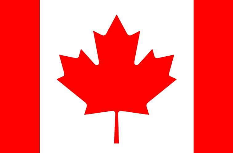 Cooperation country flag 1